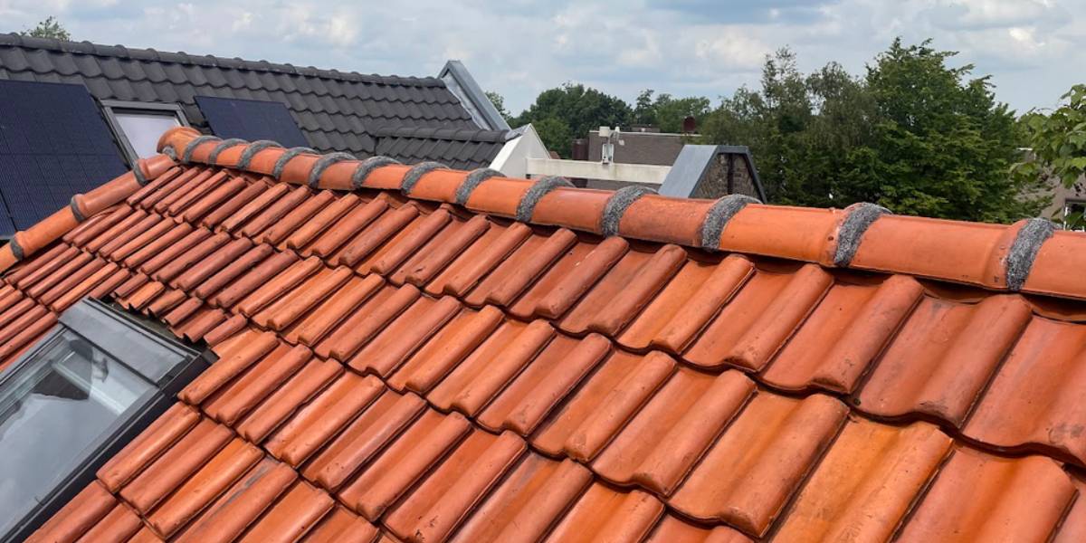 Professionele nokvorst renovatie en reparatie