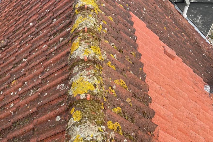 Dak reinigen door Dak en Gevel Onderhoud specialisten